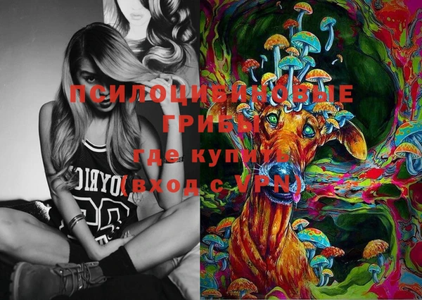 бутират Богданович