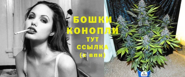 винт Богородицк