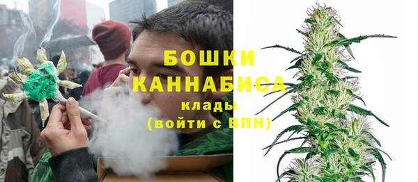 бутират Богданович