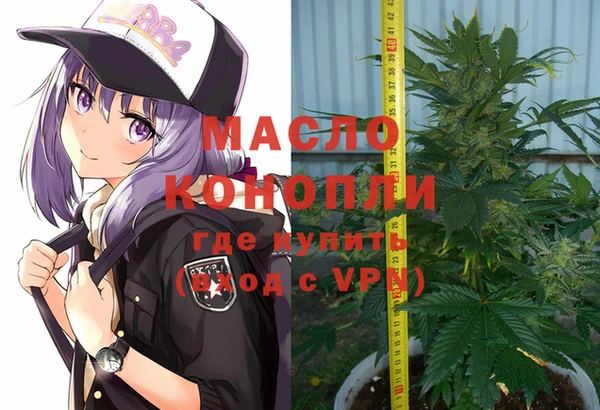 тгк Снежинск