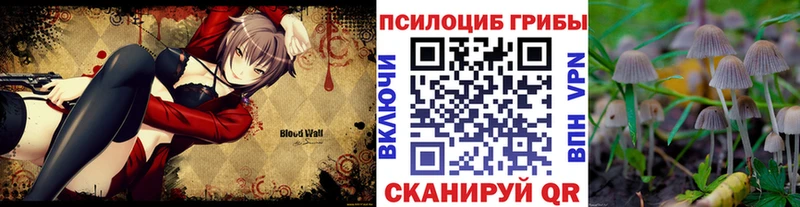 Галлюциногенные грибы мицелий  Среднеуральск 
