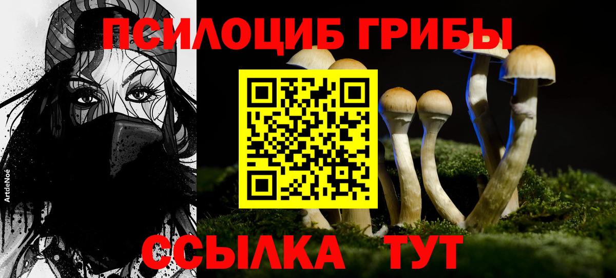 Галлюциногенные грибы ЛСД Среднеуральск